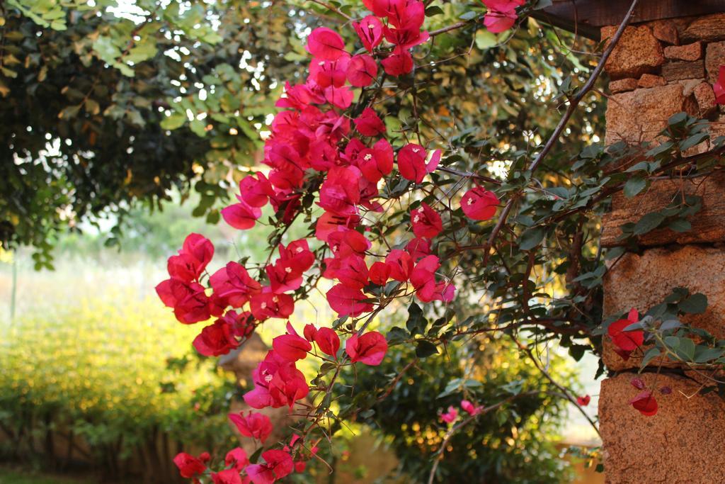 B&B I Mari Torpè Exterior foto